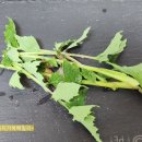 키움 동물병원 이미지