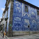 자인민박 이미지