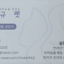 규펫