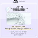 갤러리 소아