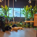 와우오락실 이미지