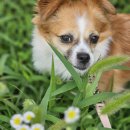 (주)오비티 이미지