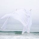 새하얀세탁 이미지