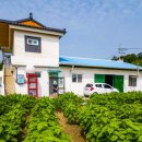 월하민박 이미지