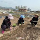 우리동네희망마을