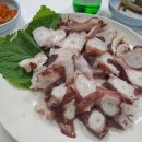 사사당구장 이미지