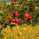 미술심리(주간) 이미지