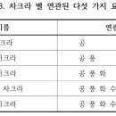 요가에서의 몸과 마음의 관계 - 탄트라 이미지