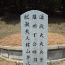 나주정 티스토리