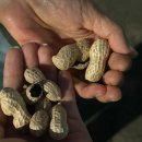 백상갈비 | 10월 일상 명절도 보내고 해방촌도 가고 아파도 잘먹고다닌 이번달