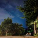 그린카파 이미지