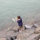녹도