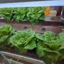 진주팜농약 이미지