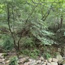 메아리산장 이미지