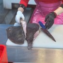 양동수산시장 이미지