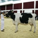 정수 팜랜드 이미지