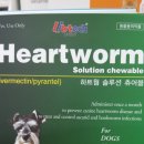 지묘제일약국 네이버블로그
