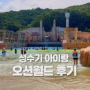[공지] 오션월드 카바나💙 성수기 아이랑 후기! 가격·키제한까지