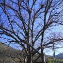 평리 마을회관 이미지