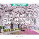 시기동 주민센터 | 부모님과 국내여행 4월 꽃구경 정읍여행