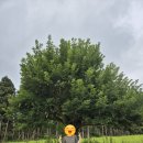 신성목장 이미지