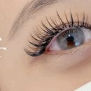 폴리프라자Ⅱ 이미지