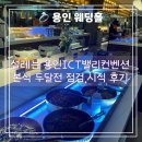 스크린헤어 | 용인 결혼식장 ICT밸리컨벤션 시식 및 스크린 변경 후기