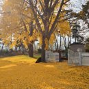 현내리 도원정사 이미지