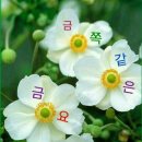 부광공인중개사사무소 이미지