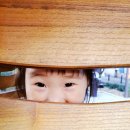 서마장어린이공원 네이버블로그