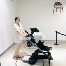 (주)앤디솔루션 | 아이와 함께 서울 서촌 가볼만한곳 부가부 25주년 팝업스토어 폭스5 느와르 리미티드 에디션 볼거리 가득!