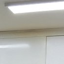 가재 우림필유 이미지