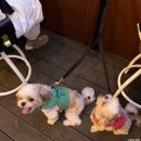 먹어야산다 이미지