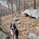 산청동물의료센터 이미지