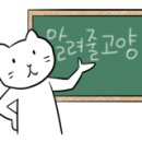 셀아처