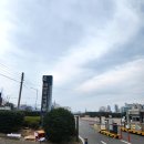 정원의 조성과 관리 | 울산 태화강 국가정원 후기, 십리대숲까지 이어지는 규모감 있는 산책 코스