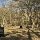 자연 애개 이미지