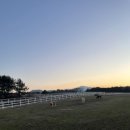 튼튼목장 이미지