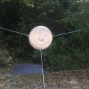 깨금발어린이집 이미지