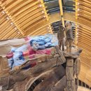 SM송정점 | 하나투어 패키지 1월 필리핀 세부 가족여행 4~5일차 여행기, 마지막으로 세부 시내 돌아보고 한국으로🛫