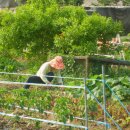 근원농장 이미지