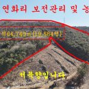 매물번호:1000-225지곡면연화리 경사도 완만한 임야 면적64,740㎡(19,584평)매가 3.3㎡당5천5백원 이미지