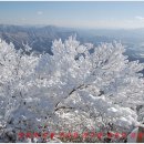 방장산(方丈山)＜금방 내려 깨끗하고 싱그러운 심설산행(深雪山行)＞ 이미지