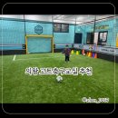 고트축구교실