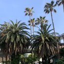 고기만세 이미지