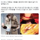 미친 퀄리티 나온 원피스 애니 최신화 그린 사람의 첫 단독 연출작.gif 이미지