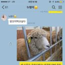 친구양꼬치 - 성남시 수정구 논골로 19 | 친구양꼬치