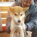 문경가축병원 이미지