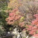 율전초교 이미지