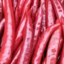 박용구농장 이미지